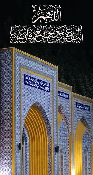 Minhaj Welfare Italy