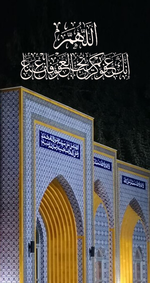 Minhaj Welfare Italy