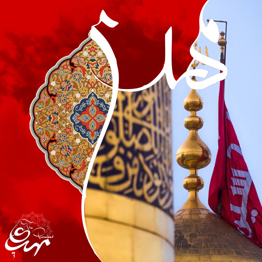 Minhaj Welfare Italy